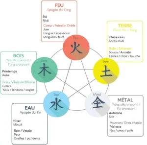 Les 5 éléments en Médecine Traditionnelle Chinoise