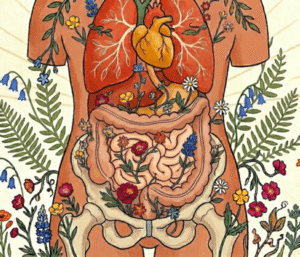 Alimentation en Médecine Traditionnelle Chinoise