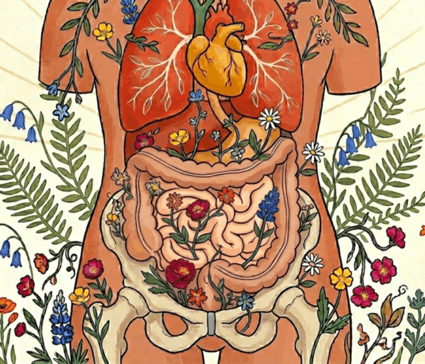 Alimentation en Médecine Traditionnelle Chinoise